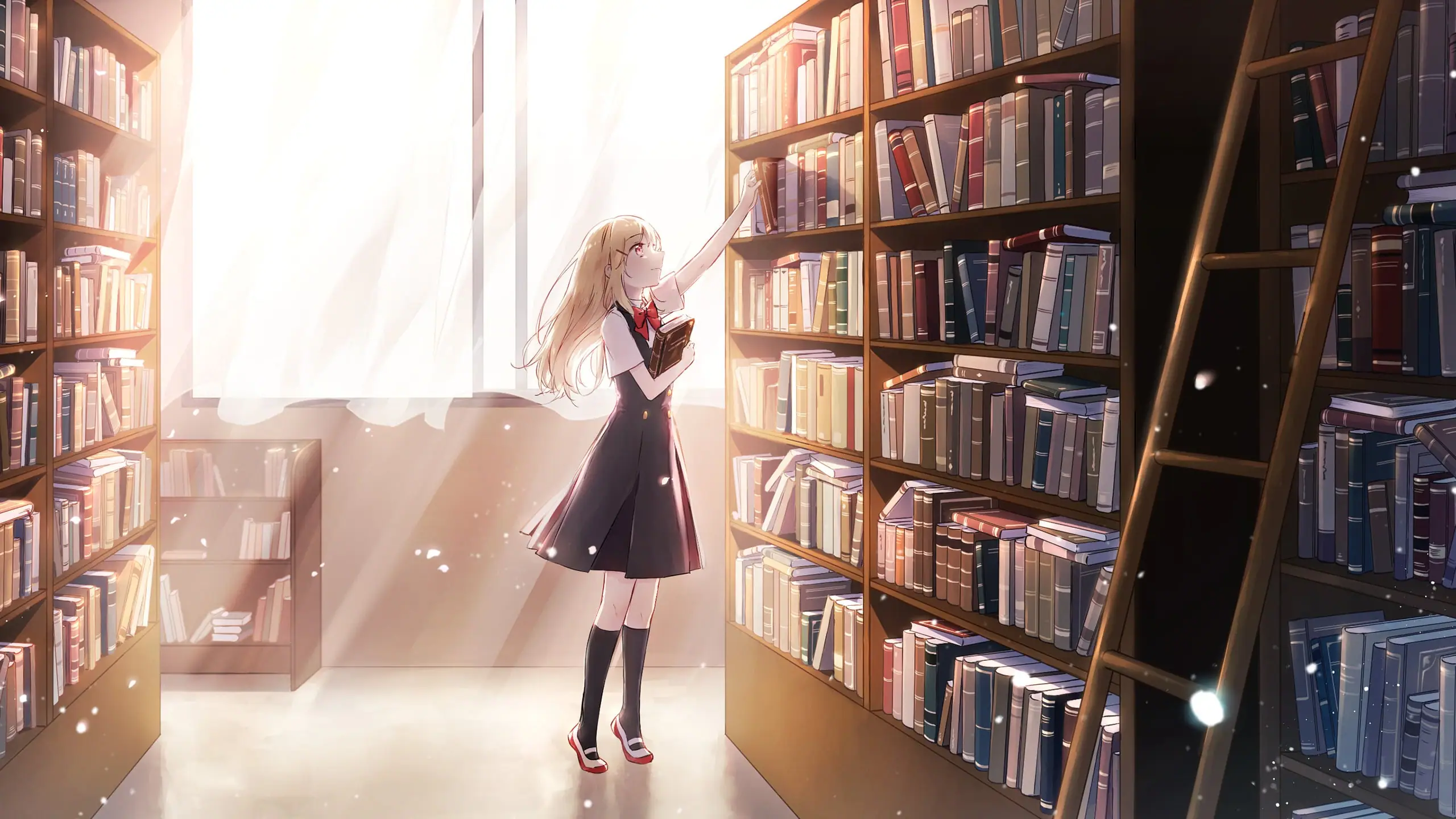 Desktop banner image 2